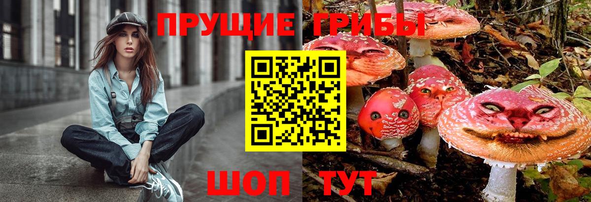 Псилоцибиновые грибы Cubensis Туапсе